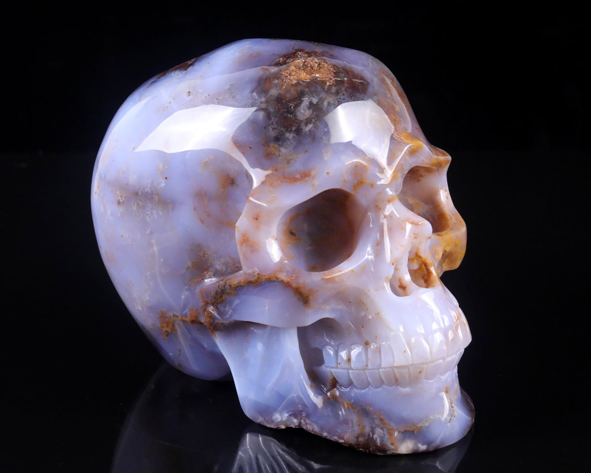 Nicedony 7.7" Blue Chalcedony Hand Carved Realistic Skull Sculpture