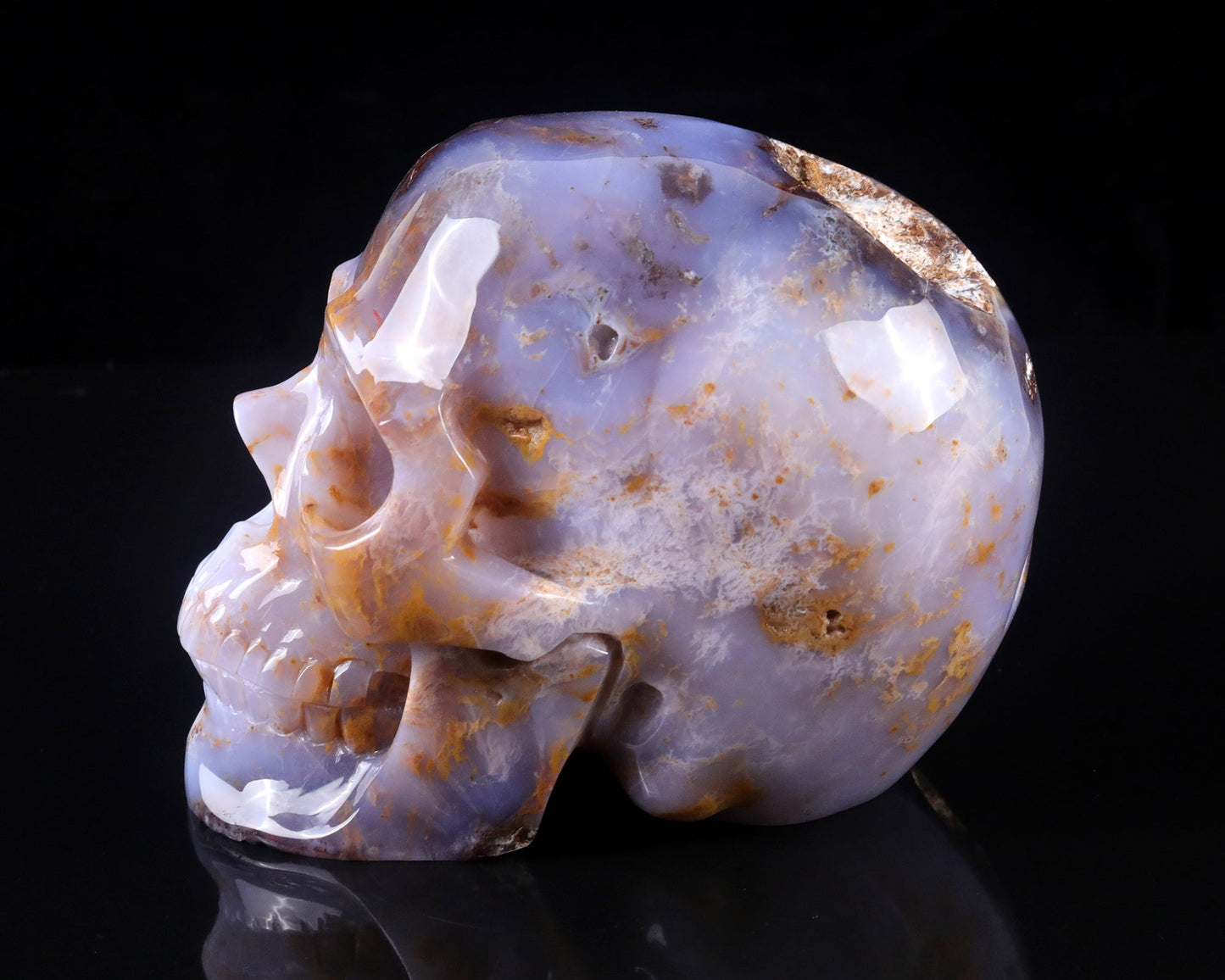 Nicedony 7.7" Blue Chalcedony Hand Carved Realistic Skull Sculpture - View 6
