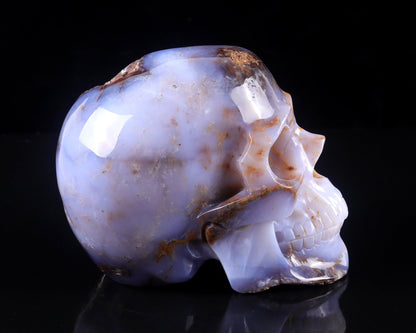 Nicedony 7.7" Blue Chalcedony Hand Carved Realistic Skull Sculpture - View 3