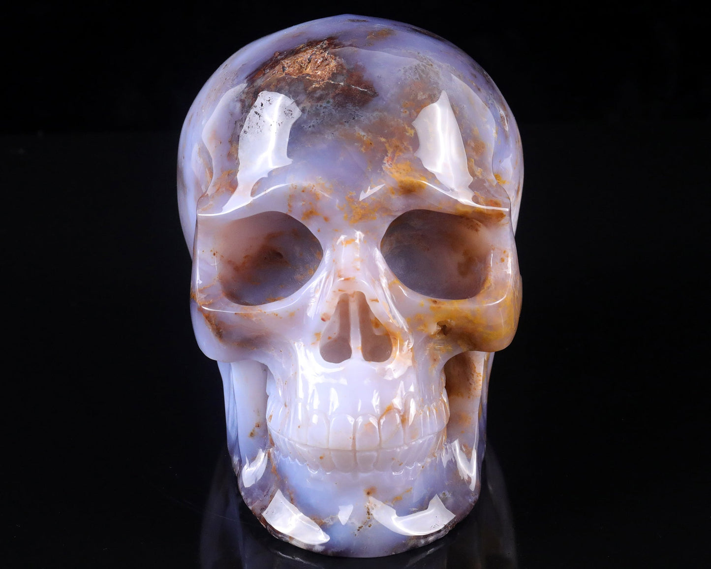 Nicedony 7.7" Blue Chalcedony Hand Carved Realistic Skull Sculpture - View 8