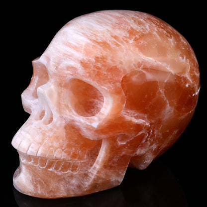 Nicedony 7.7" Orange Selenite Hand Carved Realistic Skull Sculpture