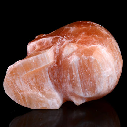 Nicedony 7.7" Orange Selenite Hand Carved Realistic Skull Sculpture - View 7