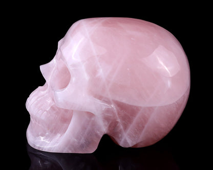 Nicedony 7.7" Pink Quartz Hand Carved Realistic Skull Sculpture - View 4