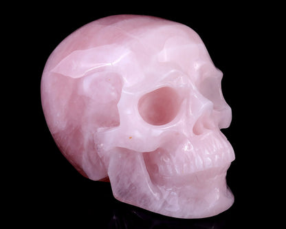 Nicedony 7.7" Pink Quartz Hand Carved Realistic Skull Sculpture