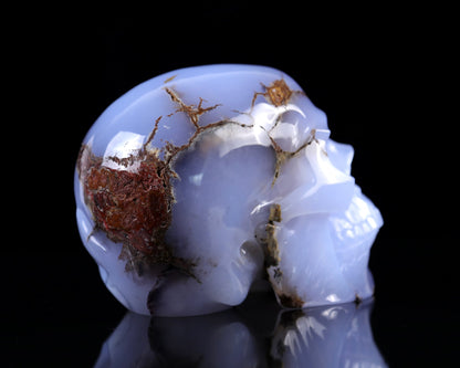 Nicedony 7.9" Blue Chalcedony Hand Carved Huge Realistic Skull - View 9
