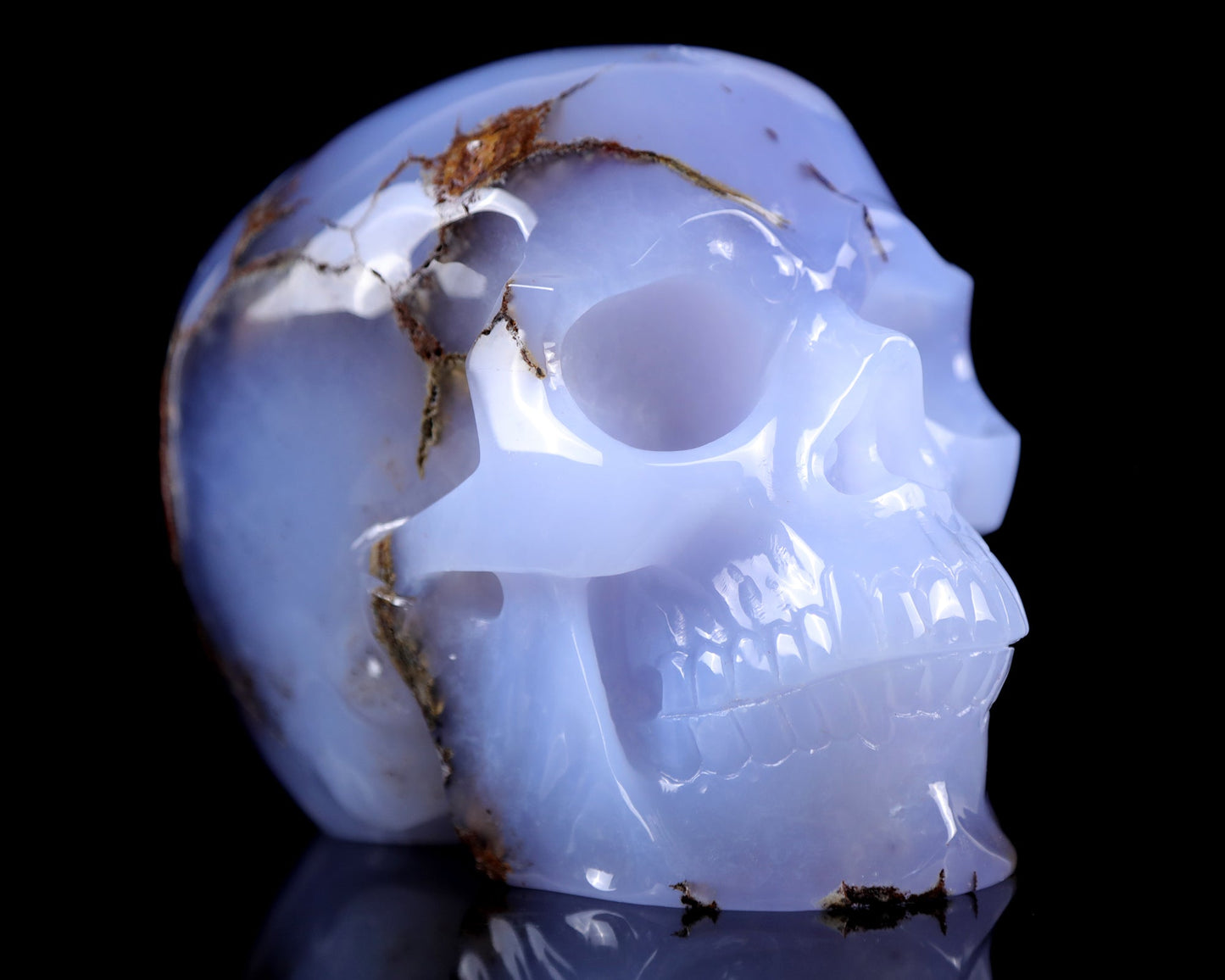 Nicedony 7.9" Blue Chalcedony Hand Carved Huge Realistic Skull - View 2
