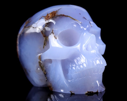 Nicedony 7.9" Blue Chalcedony Hand Carved Huge Realistic Skull - View 2