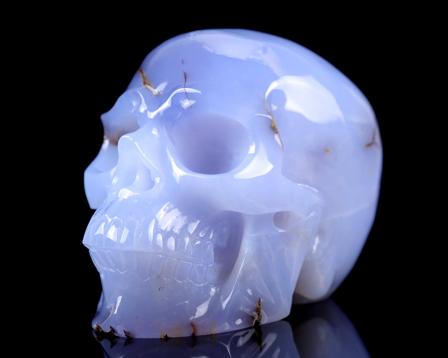 Nicedony 7.9" Blue Chalcedony Hand Carved Huge Realistic Skull - View 4