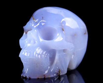 Nicedony 7.9" Blue Chalcedony Hand Carved Huge Realistic Skull - View 4
