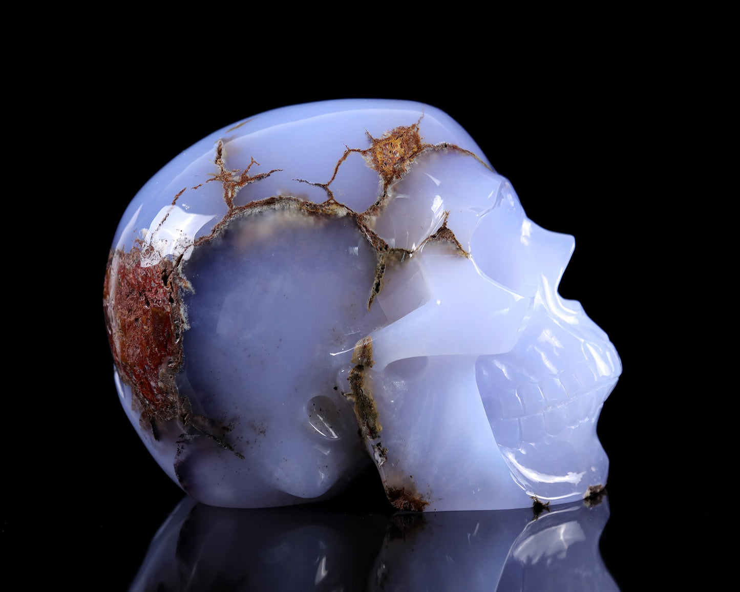 Nicedony 7.9" Blue Chalcedony Hand Carved Huge Realistic Skull - View 11