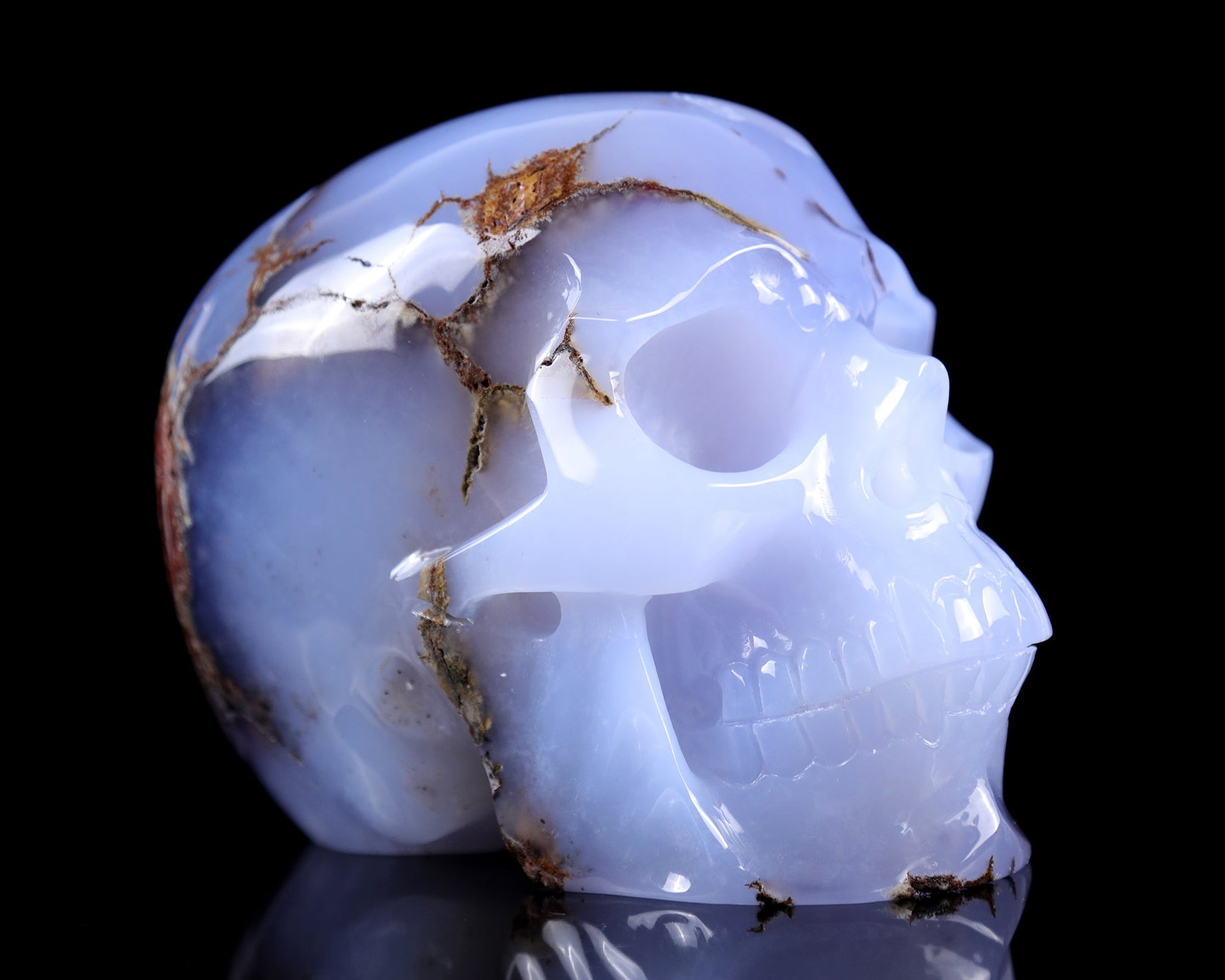 Nicedony 7.9" Blue Chalcedony Hand Carved Huge Realistic Skull
