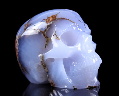 Nicedony 7.9" Blue Chalcedony Hand Carved Huge Realistic Skull