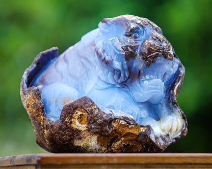 Nicedony 7.9" Blue Chalcedony Hand Carved Crystal Tiger Sculpture - View 8
