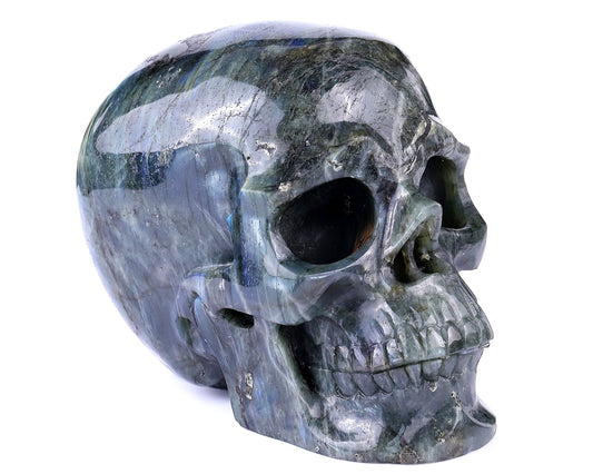 Nicedony 7.9 "Labradorite Hand Carved Realistic Skull Sculpture