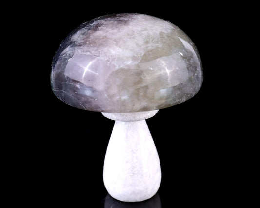 Nicedony 77mm Fluorite Hand Carved Crystal Mushroom Sculpture