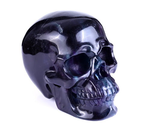 Nicedony 8.1" Fluorite Hand Carved Realistic Hollow Skull Sculpture