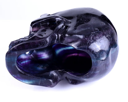 Nicedony 8.1" Fluorite Hand Carved Realistic Hollow Skull Sculpture - View 6