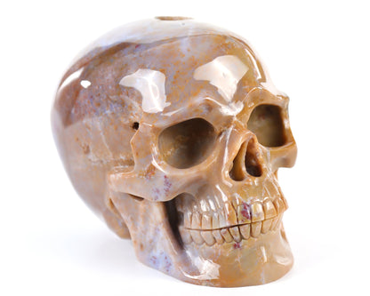 Nicedony 8.3" Chalcedony Hand Carved Crystal Geode Skull Sculpture