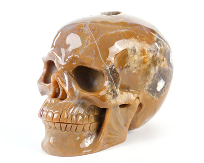 Nicedony 8.3" Chalcedony Hand Carved Crystal Geode Skull Sculpture - View 3
