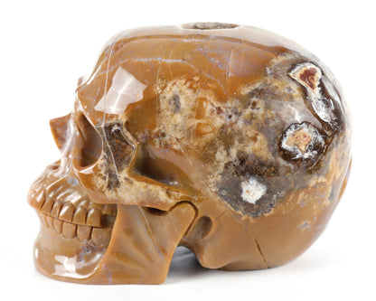 Nicedony 8.3" Chalcedony Hand Carved Crystal Geode Skull Sculpture - View 4