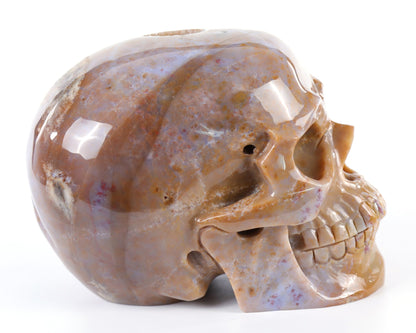 Nicedony 8.3" Chalcedony Hand Carved Crystal Geode Skull Sculpture - View 2