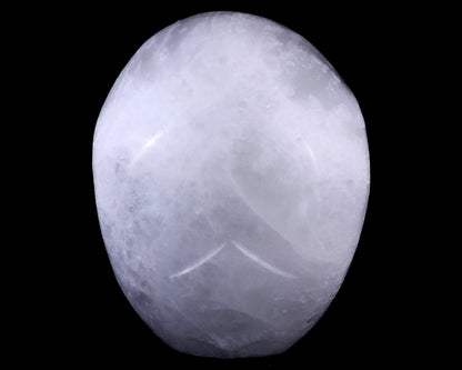 Nicedony 8.3" Selenite Hand Carved Crystal Realistic Skull Sculpture - View 5