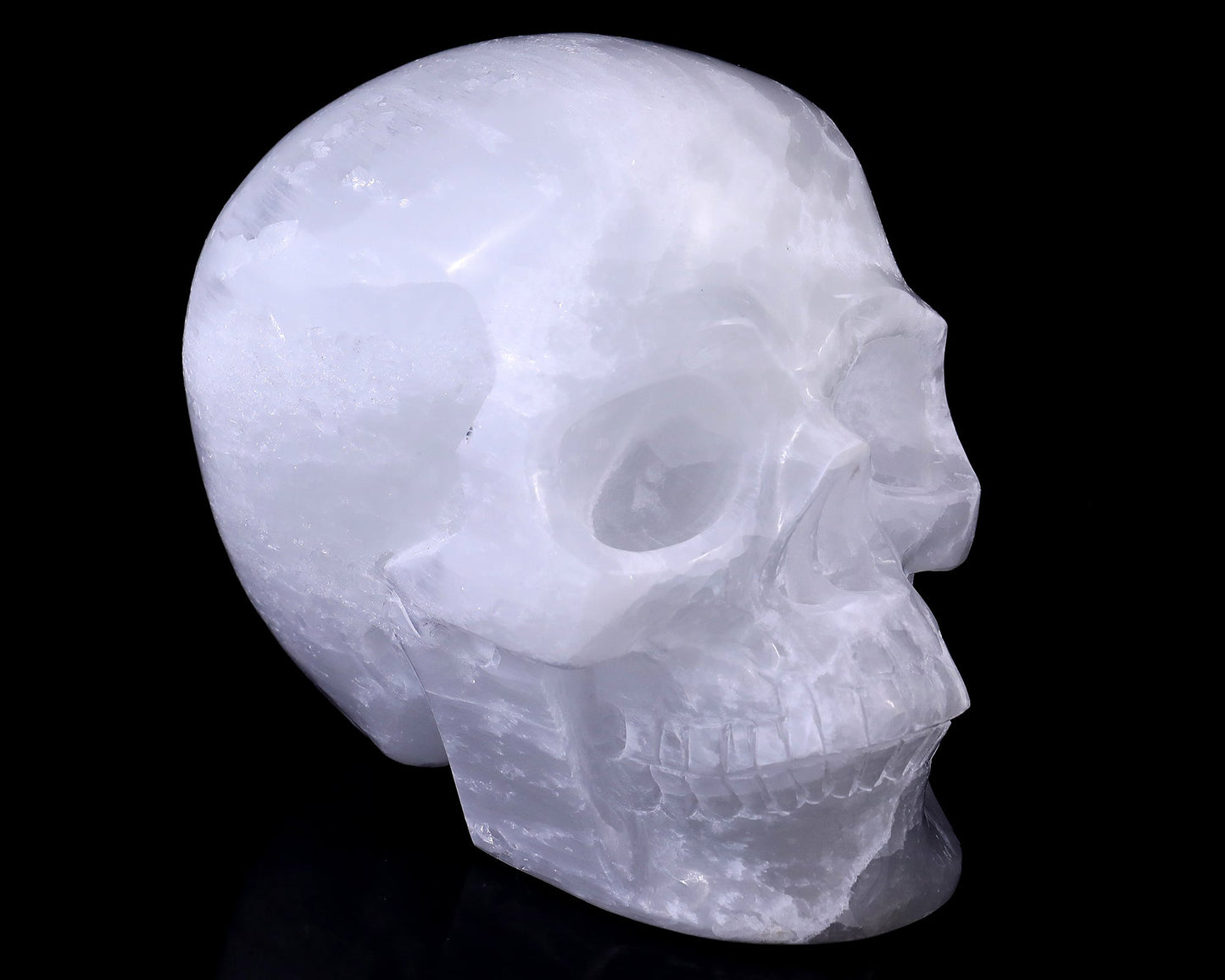 Nicedony 8.3" Selenite Hand Carved Crystal Realistic Skull Sculpture