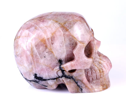 Nicedony 8.5" Rubellite Tourmaline Hand Carved Realistic Skull - View 3