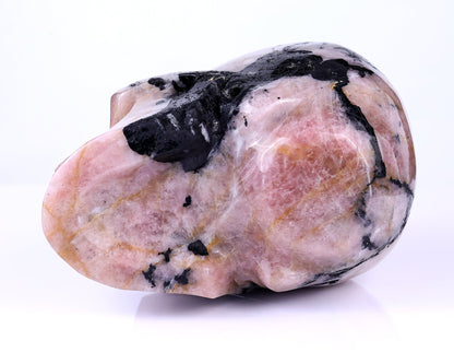 Nicedony 8.5" Rubellite Tourmaline Hand Carved Realistic Skull - View 6