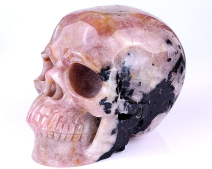 Nicedony 8.5" Rubellite Tourmaline Hand Carved Realistic Skull - View 7