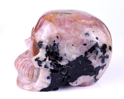 Nicedony 8.5" Rubellite Tourmaline Hand Carved Realistic Skull - View 4