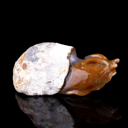 Nicedony 8.7" Chalcedony Hand Carved Crystal Snail Sculpture - View 6