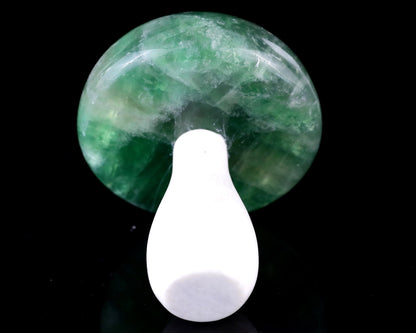 Nicedony 80mm Fluorite Hand Carved Crystal Mushroom Sculpture - View 4