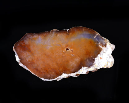 Nicedony 9.4" Chalcedony Hand Carved Crystal Crab Sculpture - View 6