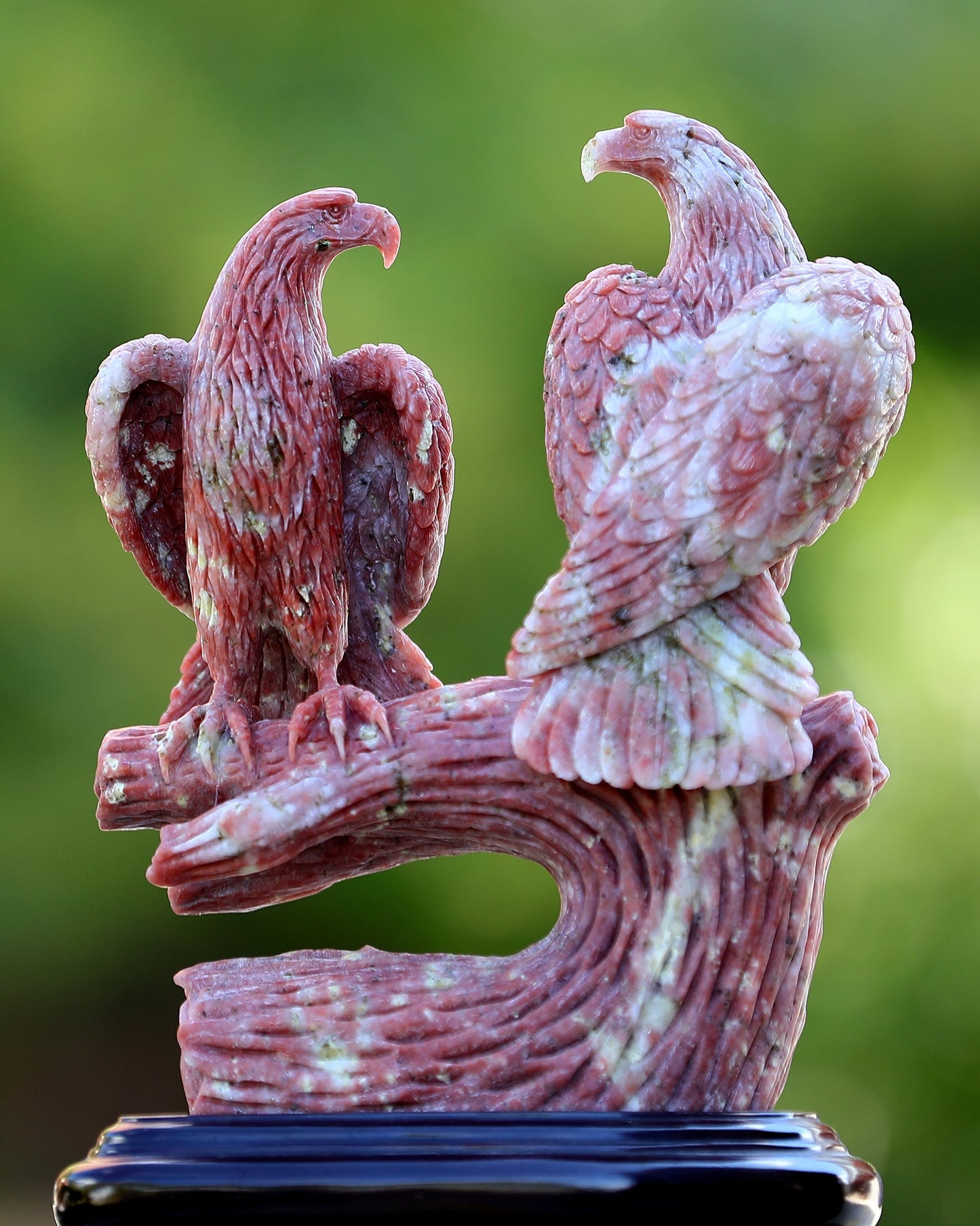 Nicedony 9.4" Red Agate Hand Carved Crystal Eagle Sculpture - View 9