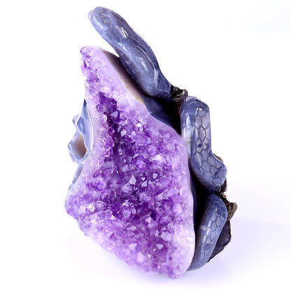 Nicedony 5.1" Amethyst Geode Agate Hand Carved Snake and Skull - View 6
