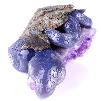 Nicedony 5.1" Amethyst Geode Agate Hand Carved Snake and Skull - View 8