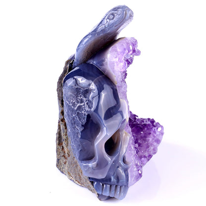 Nicedony 5.1" Amethyst Geode Agate Hand Carved Snake and Skull - View 3