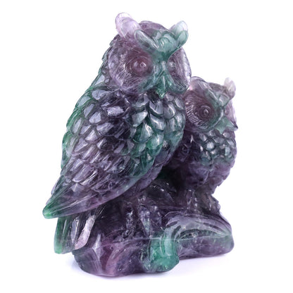 Nicedony Amazing 6.1" Fluorite Hand Carved Crystal Owls Sculpture