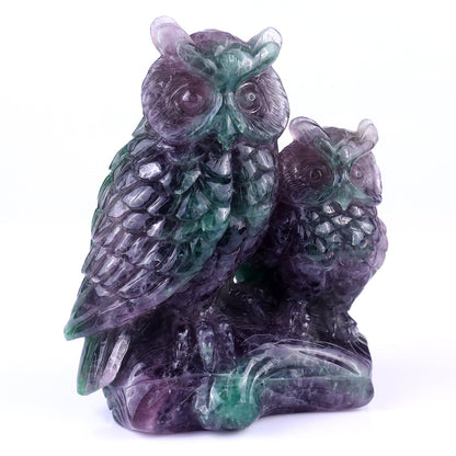 Nicedony Amazing 6.1" Fluorite Hand Carved Crystal Owls Sculpture - View 7