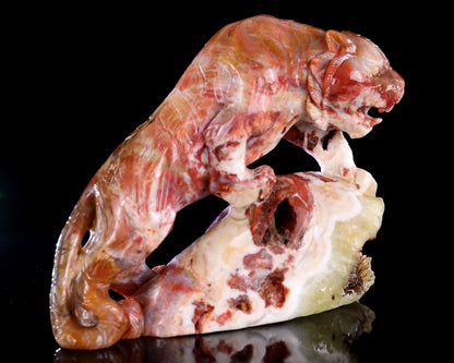 Nicedony Amazing 7.6" Chalcedony Hand Carved Crystal Tiger Sculpture - View 6
