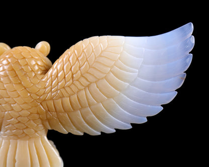 Nicedony 9.3" Blue Chalcedony Hand Carved Crystal Owl Sculpture - View 9