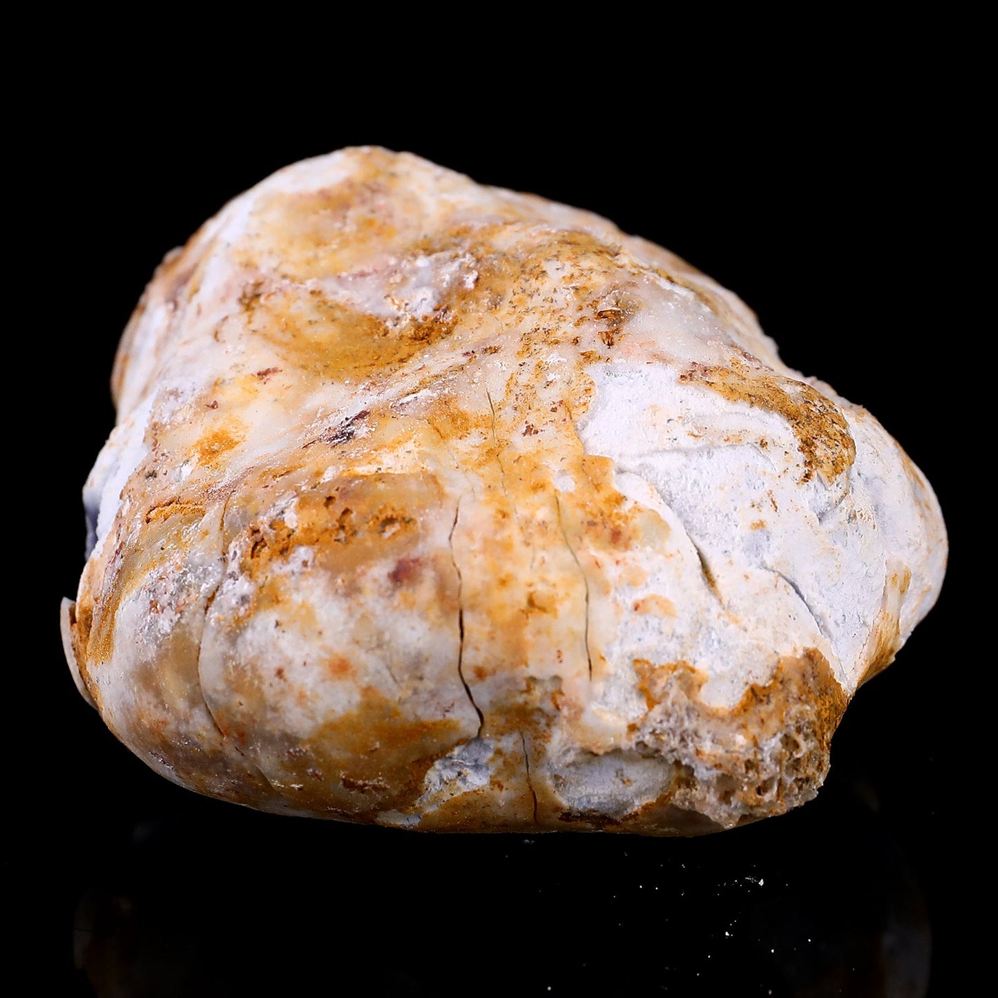 Nicedony Natural Blue Chalcedony Rough Stone - #1100176
