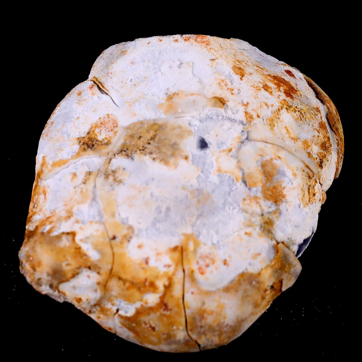 Nicedony Natural Blue Chalcedony Rough Stone - #1100179