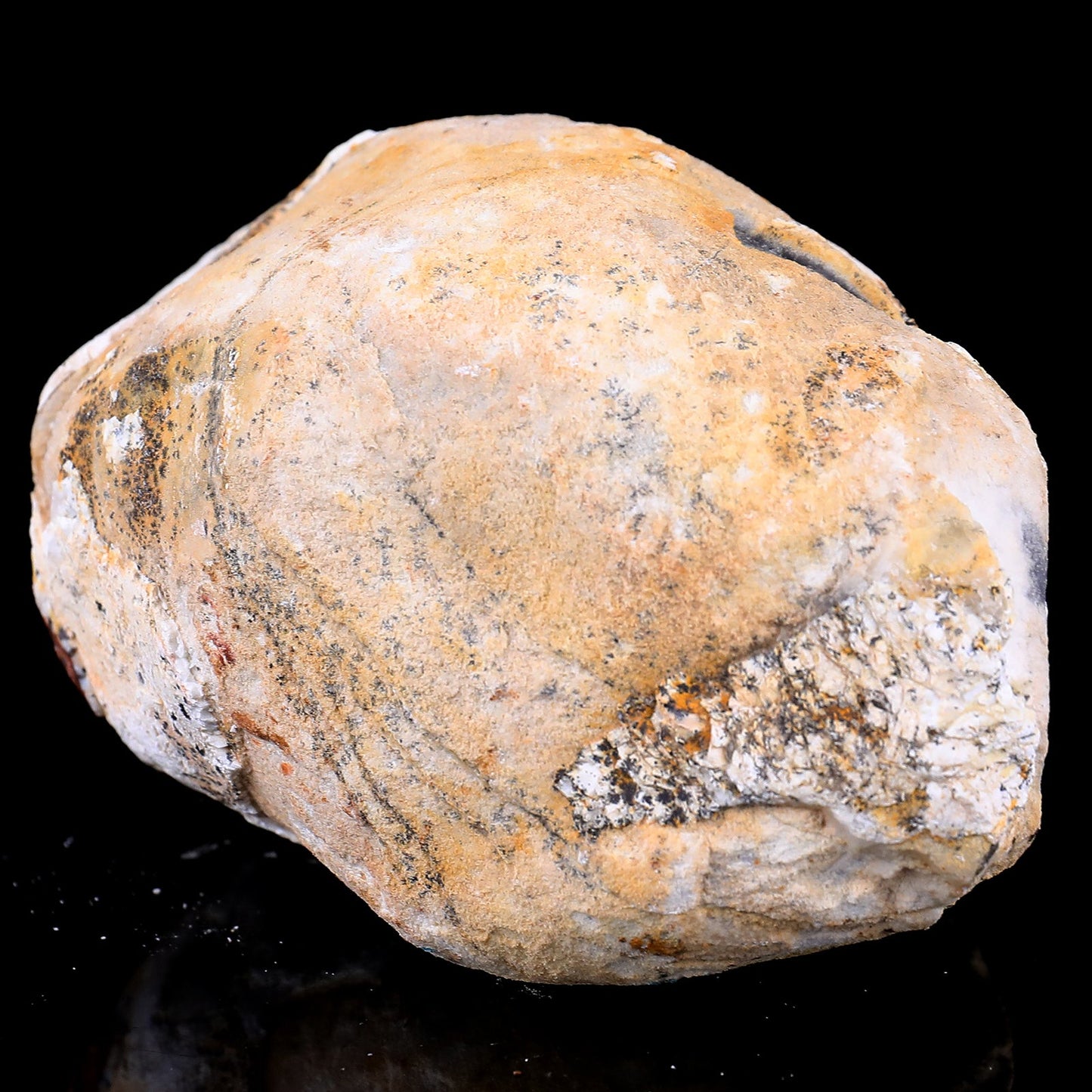 Nicedony Natural Blue Chalcedony Rough Stone - View 37