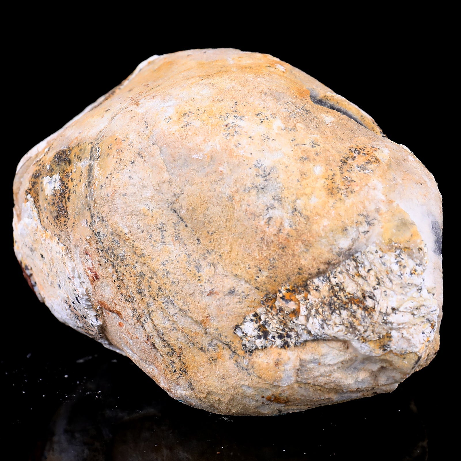 Nicedony Natural Blue Chalcedony Rough Stone - View 37
