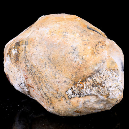 Nicedony Natural Blue Chalcedony Rough Stone - View 37