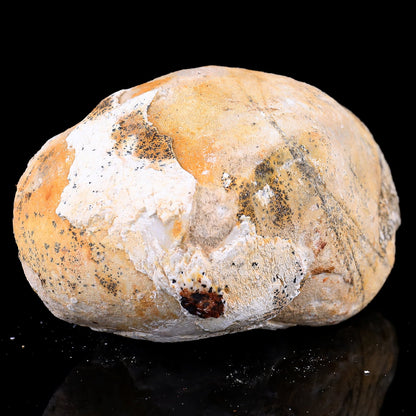Nicedony Natural Blue Chalcedony Rough Stone - View 38