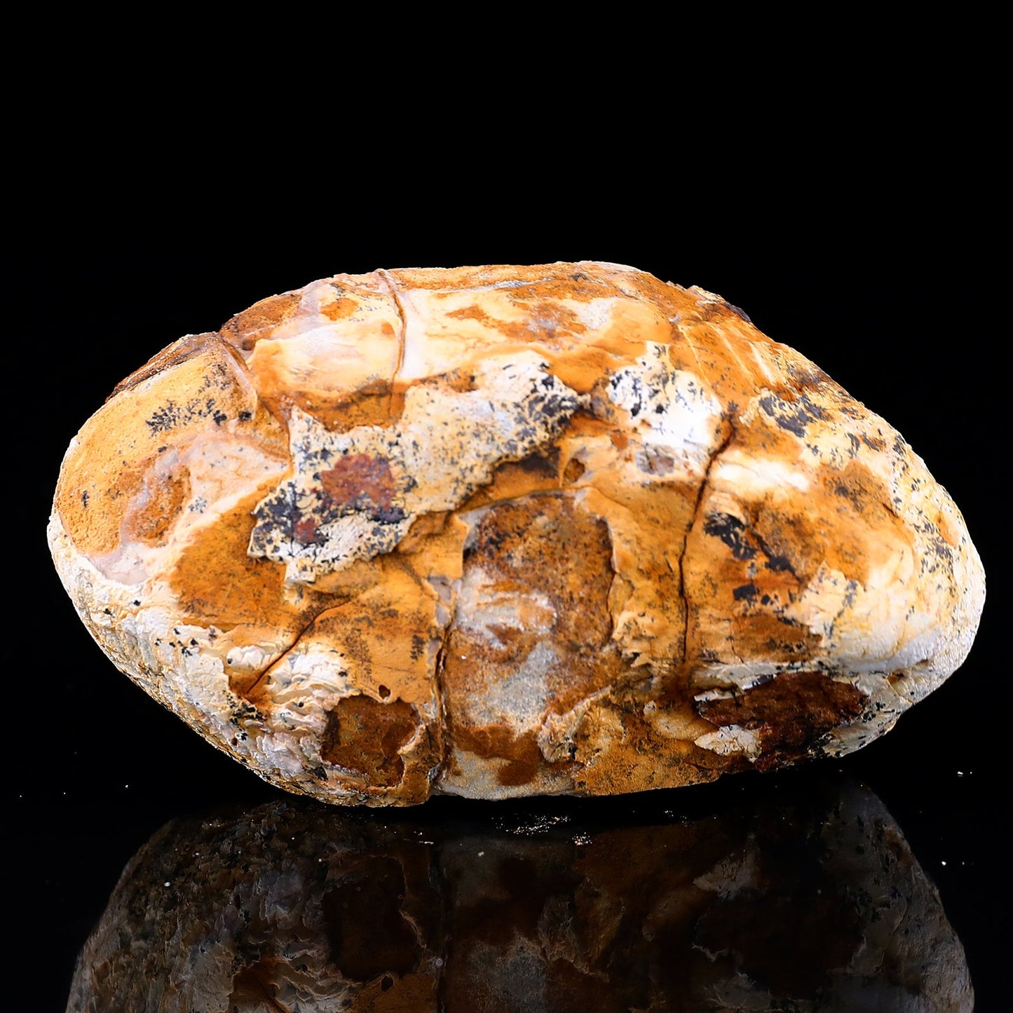 Nicedony Natural Blue Chalcedony Rough Stone - View 19