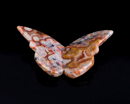 Nicedony Crazy Lace Agate Hand Carved Crystal Butterfly Set (4pcs) - 78*40*7mm